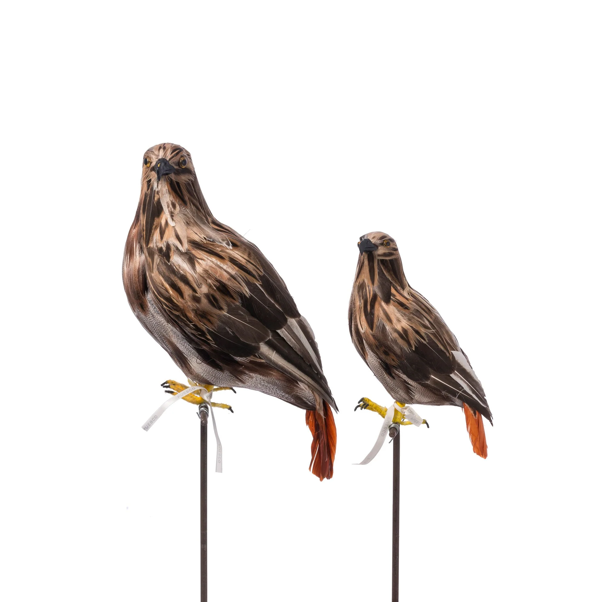 ARTIFICIAL BIRDS / HAWK