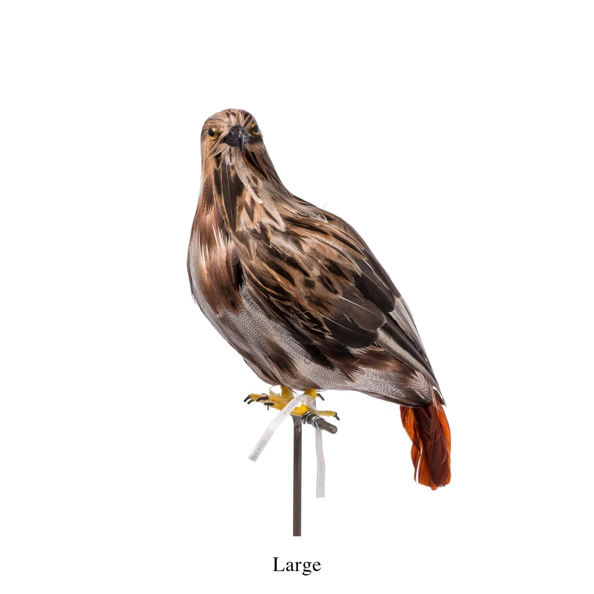 ARTIFICIAL BIRDS / HAWK - Image 3