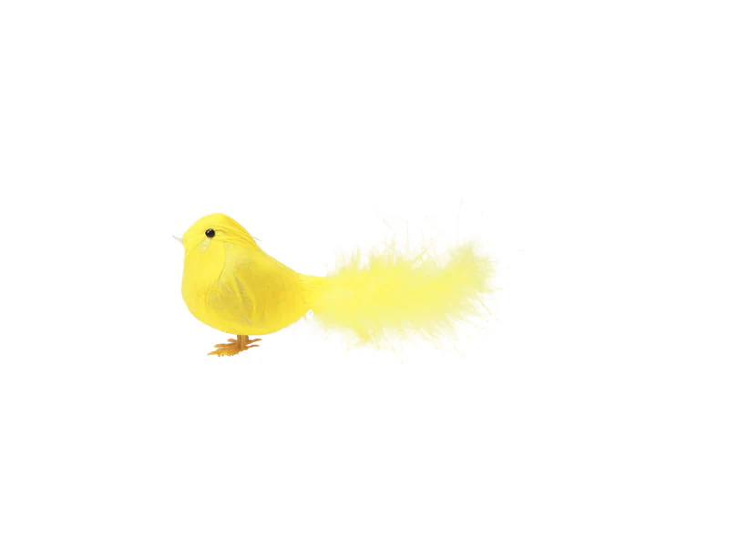 ARTIFICIAL BIRDS / PIPI