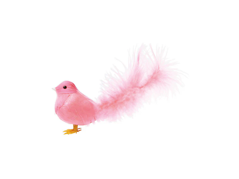 ARTIFICIAL BIRDS / PIPI - Image 2