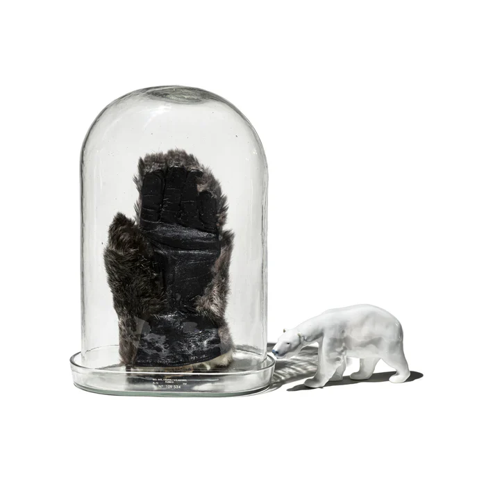 DISPLAY GLASS DOME - Image 6