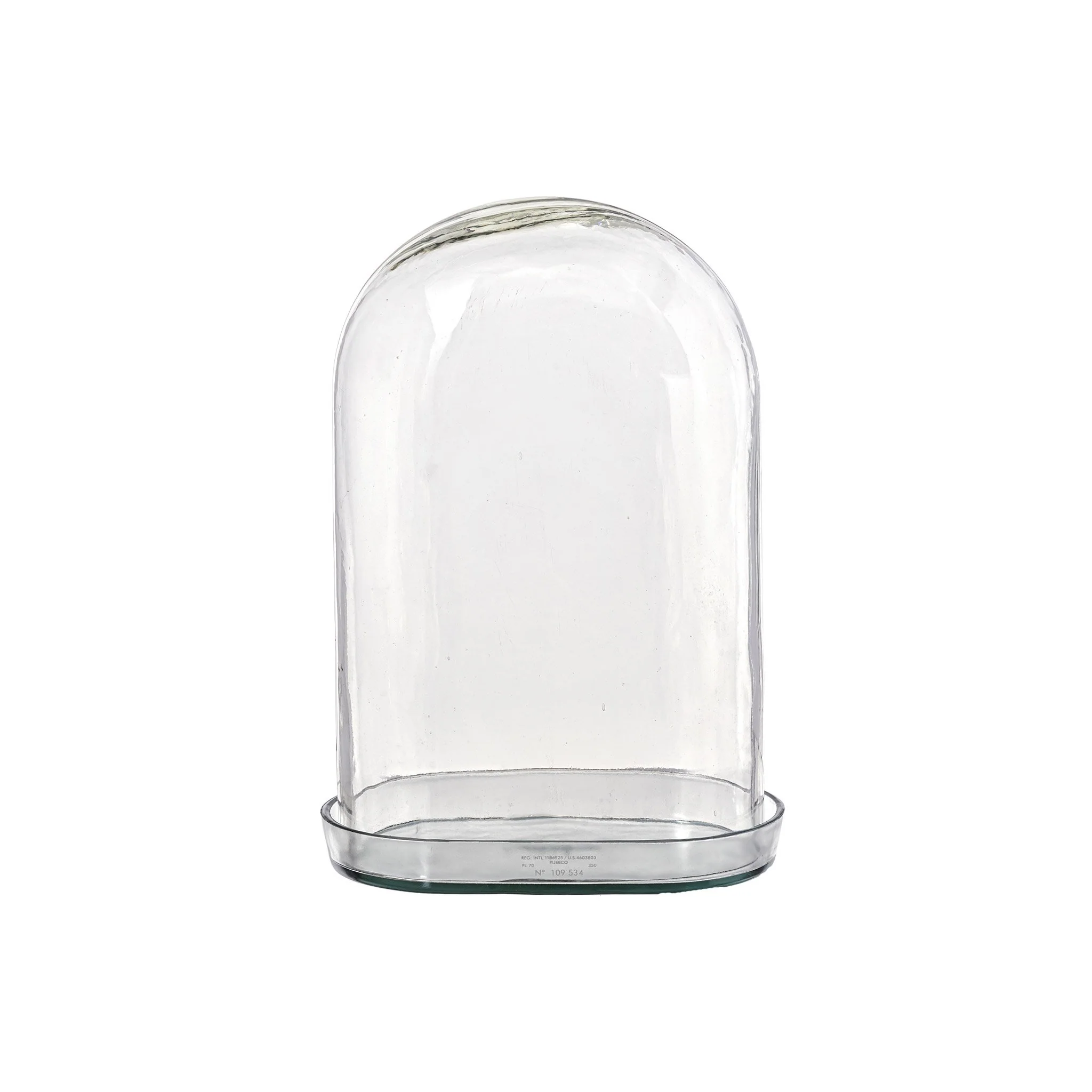 DISPLAY GLASS DOME - Image 7