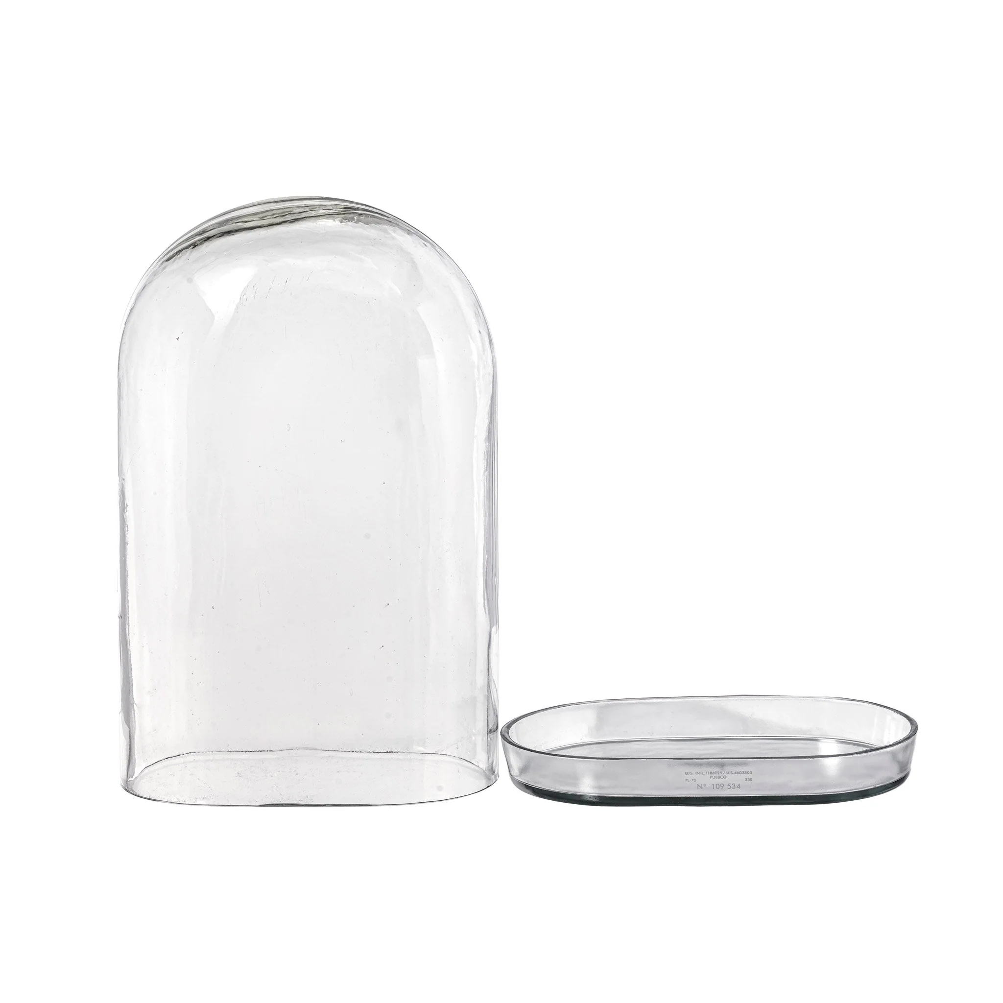 DISPLAY GLASS DOME - Image 8