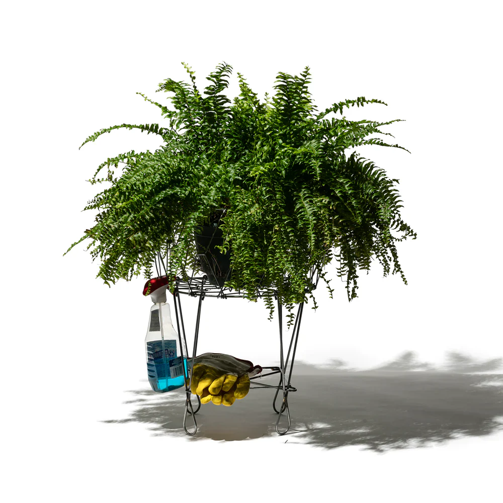 INDUSTRIAL FOLDING BASKET - Image 3