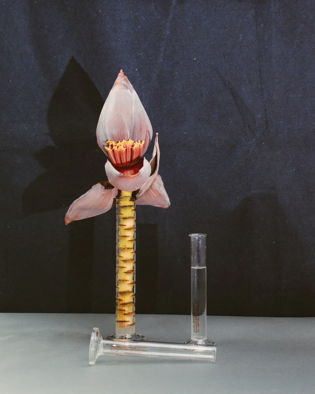 SINGLE FLOWER VASE - Image 11