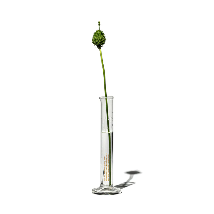 SINGLE FLOWER VASE - Image 7
