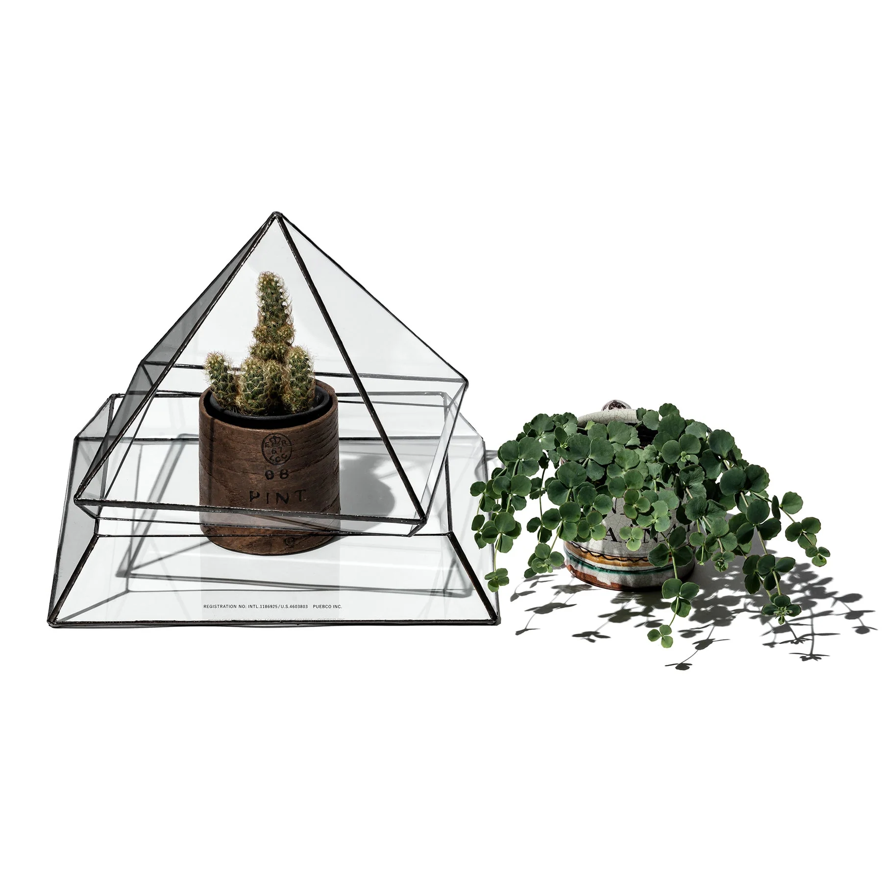 STAINED GLASS PLANT DISPLAY - Image 4
